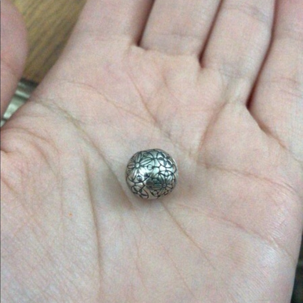Pandora Floral Geometric Clip